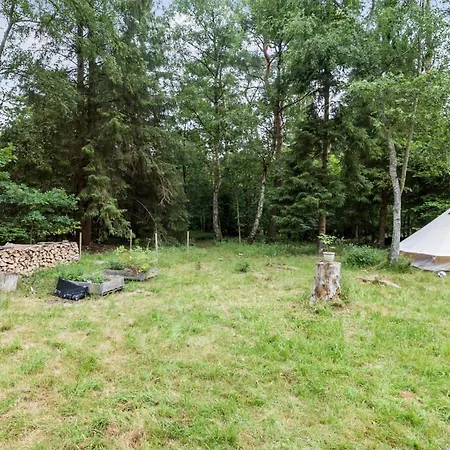3 Bedroom Awesome In *