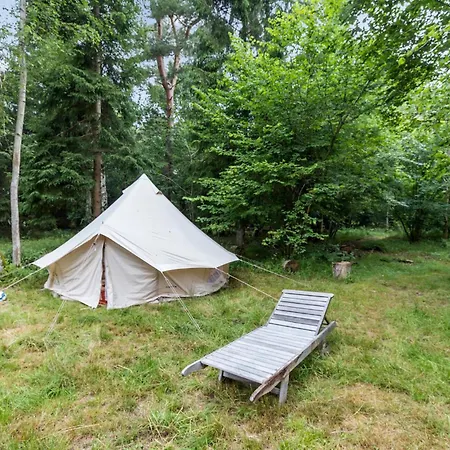 3 Bedroom Awesome In Holiday home *